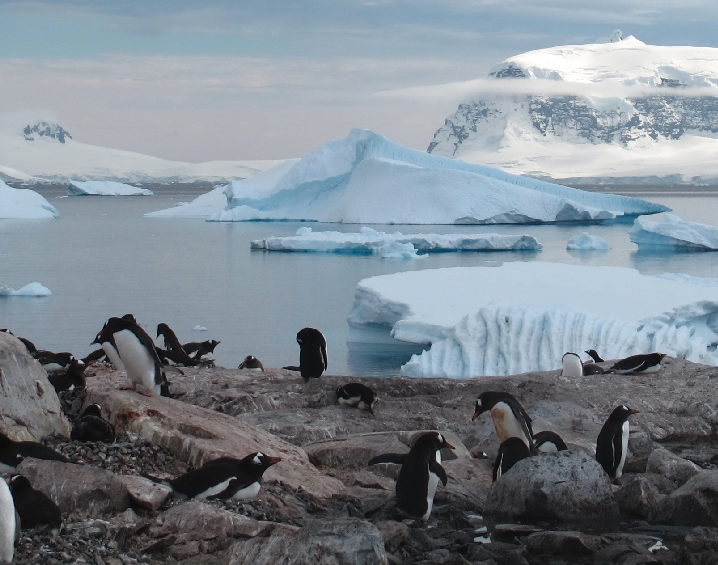 French-Australian Research in Antarctica! – Sacreblue!