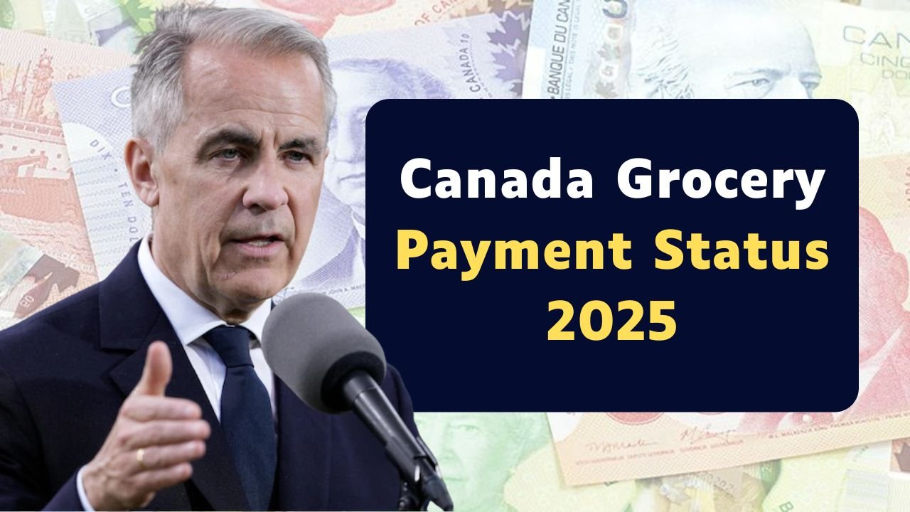 Canada Grocery Payment Status 2025: Amount, Eligibility, and Full Payout Schedule