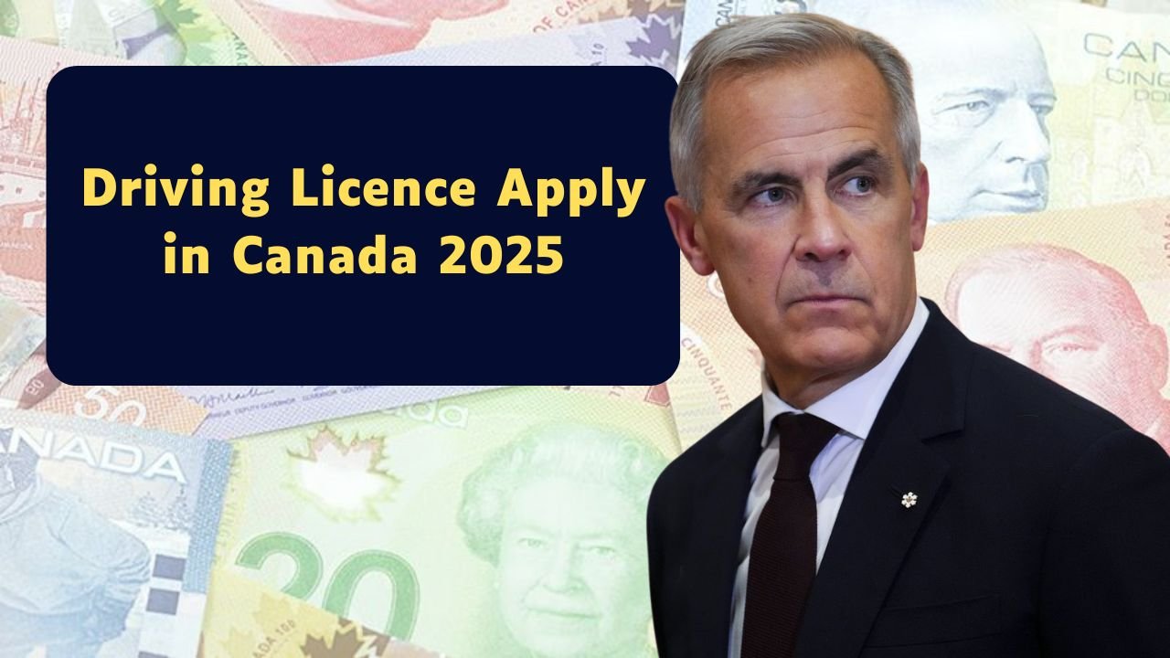 Driving Licence Apply in Canada 2025: Step-by-Step Process, Fees, Eligibility & Provincial Rules